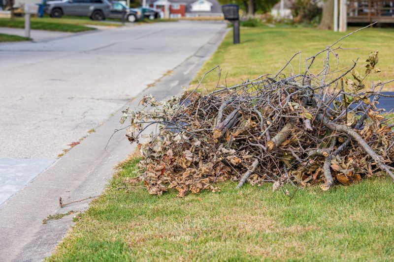 Lawn Debris Removal