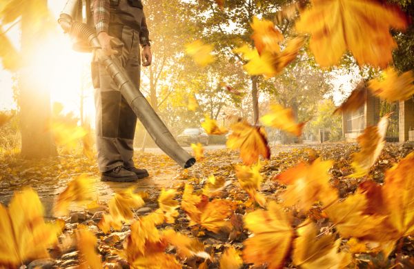 Cost of Leaf Blowing Service in Des Moines
