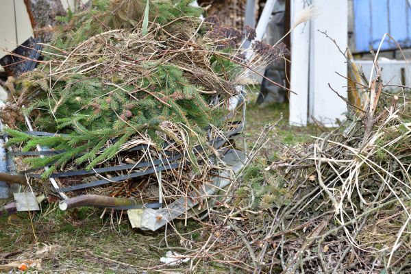 Cost of Yard Debris Removal in Des Moines