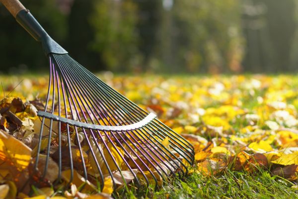 Cost of Leaf Raking Service in Des Moines