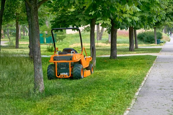 Cost of Landscaping Cleanup Service in Des Moines