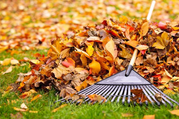 Cost of Yard Leaf Removal in Des Moines