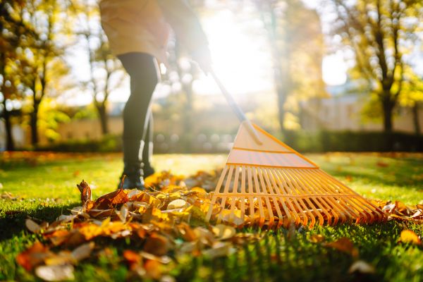 Cost of Leaves Raking in Des Moines