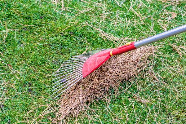 Cost of Yard Raking in Des Moines