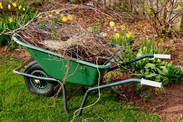 Cost of Lawn Waste Removal in Des Moines