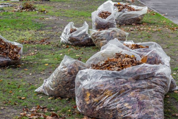 Cost of Leaf Pile Disposal in Des Moines